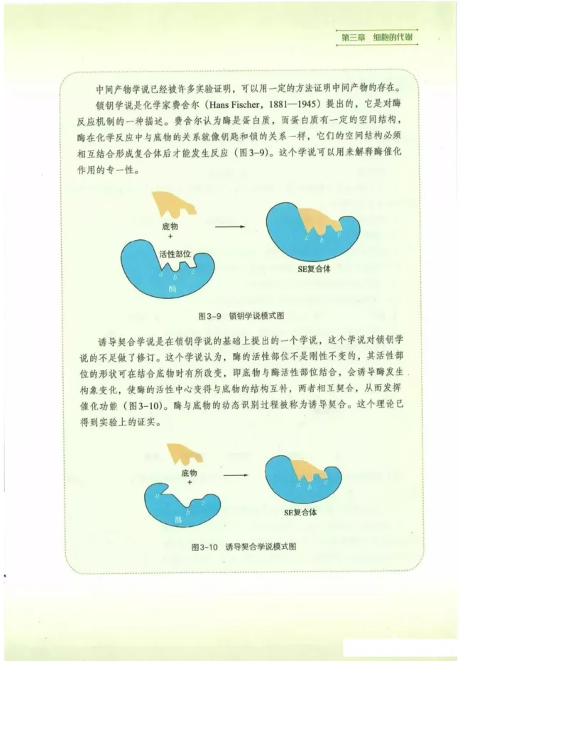 2019新浙科版高中生物必修1《分子与细胞》电子课本_高中电子课本_最新版高中全科高清电子课本_6高中生物课本_浙科版高中生物
