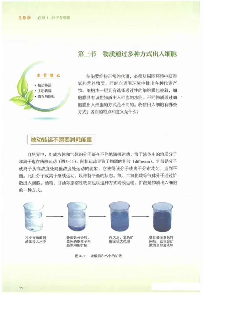 2019新浙科版高中生物必修1《分子与细胞》电子课本_高中电子课本_最新版高中全科高清电子课本_6高中生物课本_浙科版高中生物