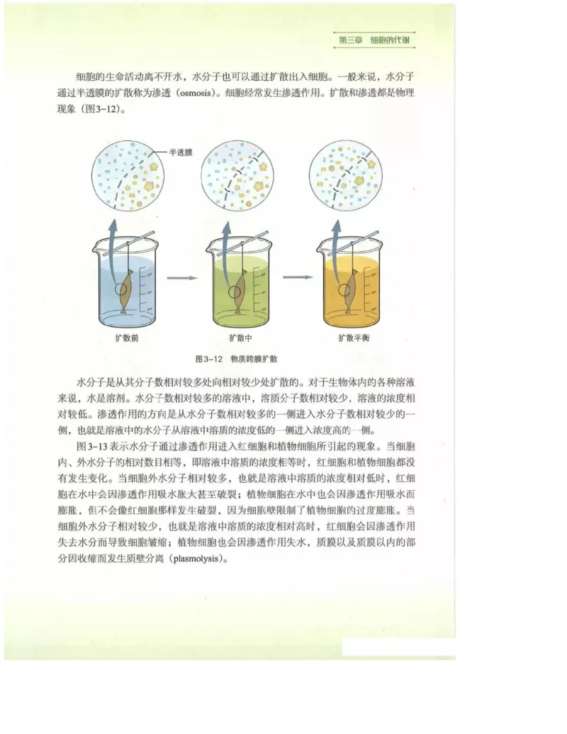 2019新浙科版高中生物必修1《分子与细胞》电子课本_高中电子课本_最新版高中全科高清电子课本_6高中生物课本_浙科版高中生物