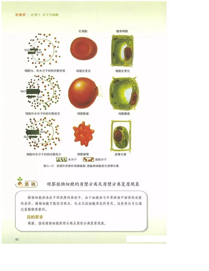 2019新浙科版高中生物必修1《分子与细胞》电子课本_高中电子课本_最新版高中全科高清电子课本_6高中生物课本_浙科版高中生物