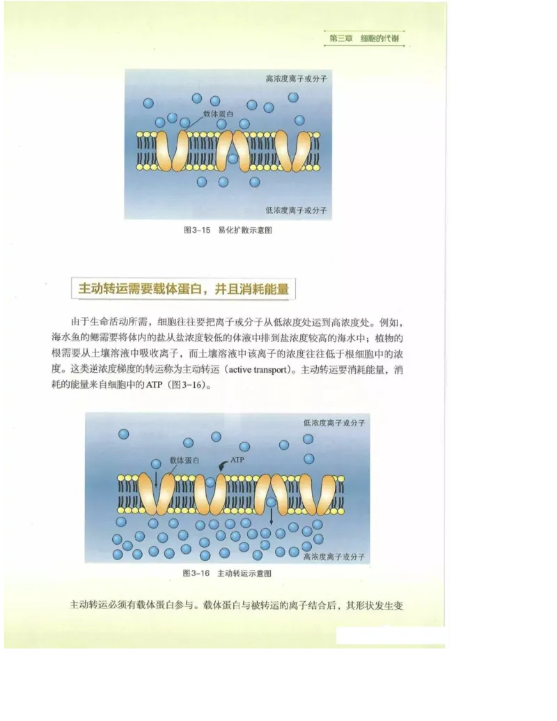 2019新浙科版高中生物必修1《分子与细胞》电子课本_高中电子课本_最新版高中全科高清电子课本_6高中生物课本_浙科版高中生物