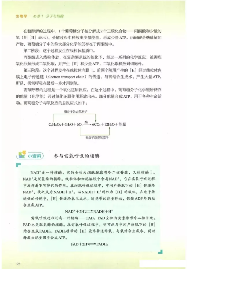 2019新浙科版高中生物必修1《分子与细胞》电子课本_高中电子课本_最新版高中全科高清电子课本_6高中生物课本_浙科版高中生物