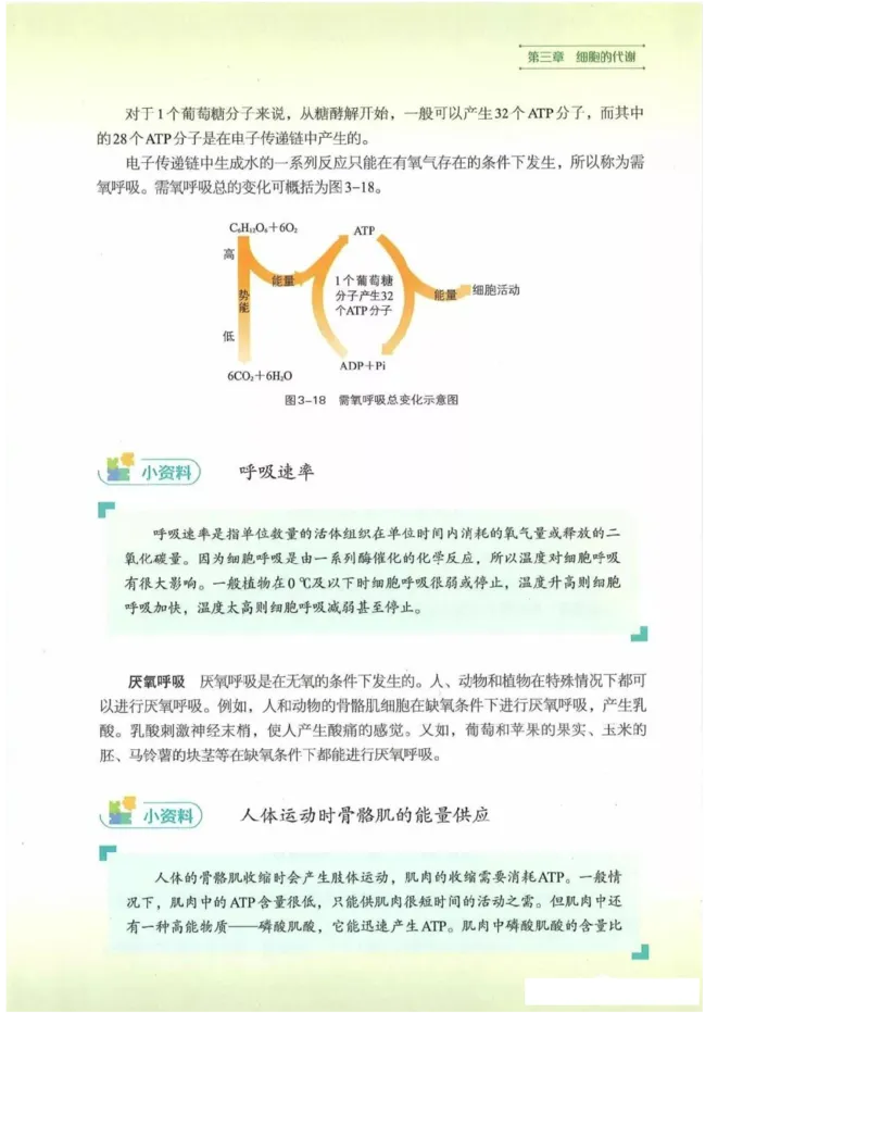 2019新浙科版高中生物必修1《分子与细胞》电子课本_高中电子课本_最新版高中全科高清电子课本_6高中生物课本_浙科版高中生物