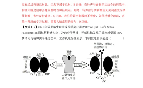 易错点11神经调节的&ldquo;四个&rdquo;注意（解析版）_新高考复习资料_2024年新高考复习资料_❤专项复习资料_完备战2024年高考生物考试易错题（新高考专用）_教师版（含答案解析）