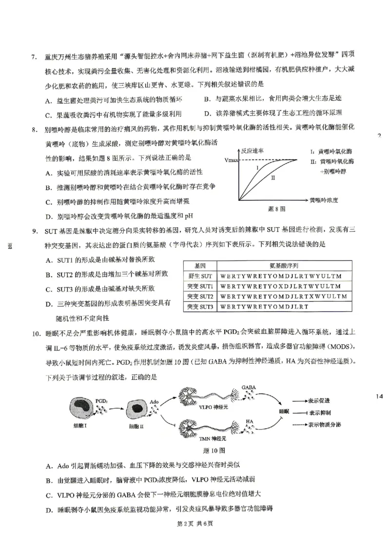 生物试题卷_2024-2026高三（6-6月题库）_2026年04月高三试卷_260413重庆市2026年普通高等学校招生全国统一考试高三第二次联合诊断考试（全科）