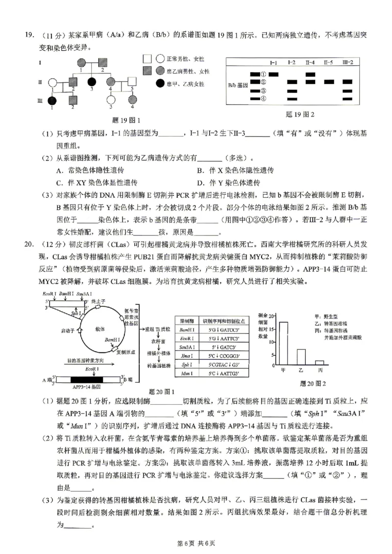 生物试题卷_2024-2026高三（6-6月题库）_2026年04月高三试卷_260413重庆市2026年普通高等学校招生全国统一考试高三第二次联合诊断考试（全科）