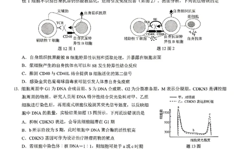 生物试题卷_2024-2026高三（6-6月题库）_2026年04月高三试卷_260413重庆市2026年普通高等学校招生全国统一考试高三第二次联合诊断考试（全科）