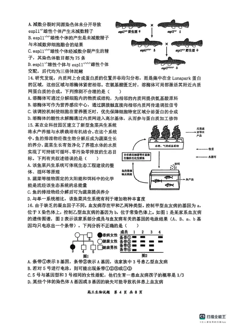 山大附中高三生物3月试题_2024-2026高三（6-6月题库）_2026年03月高三试卷_260315山西大学附属中学校2025-2026学年高三年级第二学期3月模块诊断（全科）