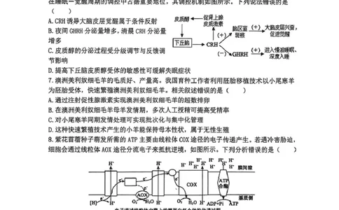 山大附中高三生物3月试题_2024-2026高三（6-6月题库）_2026年03月高三试卷_260315山西大学附属中学校2025-2026学年高三年级第二学期3月模块诊断（全科）