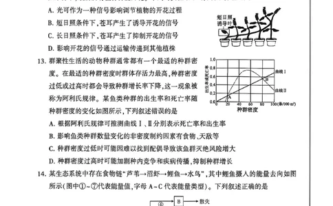 河南省洛阳市2025-2026学年下学期3月高三第三次质量检测生物试卷_2024-2026高三（6-6月题库）_2026年03月高三试卷_260313河南许平洛济2025-2026学年高三第三次质量检测（许平洛济三模）_生物