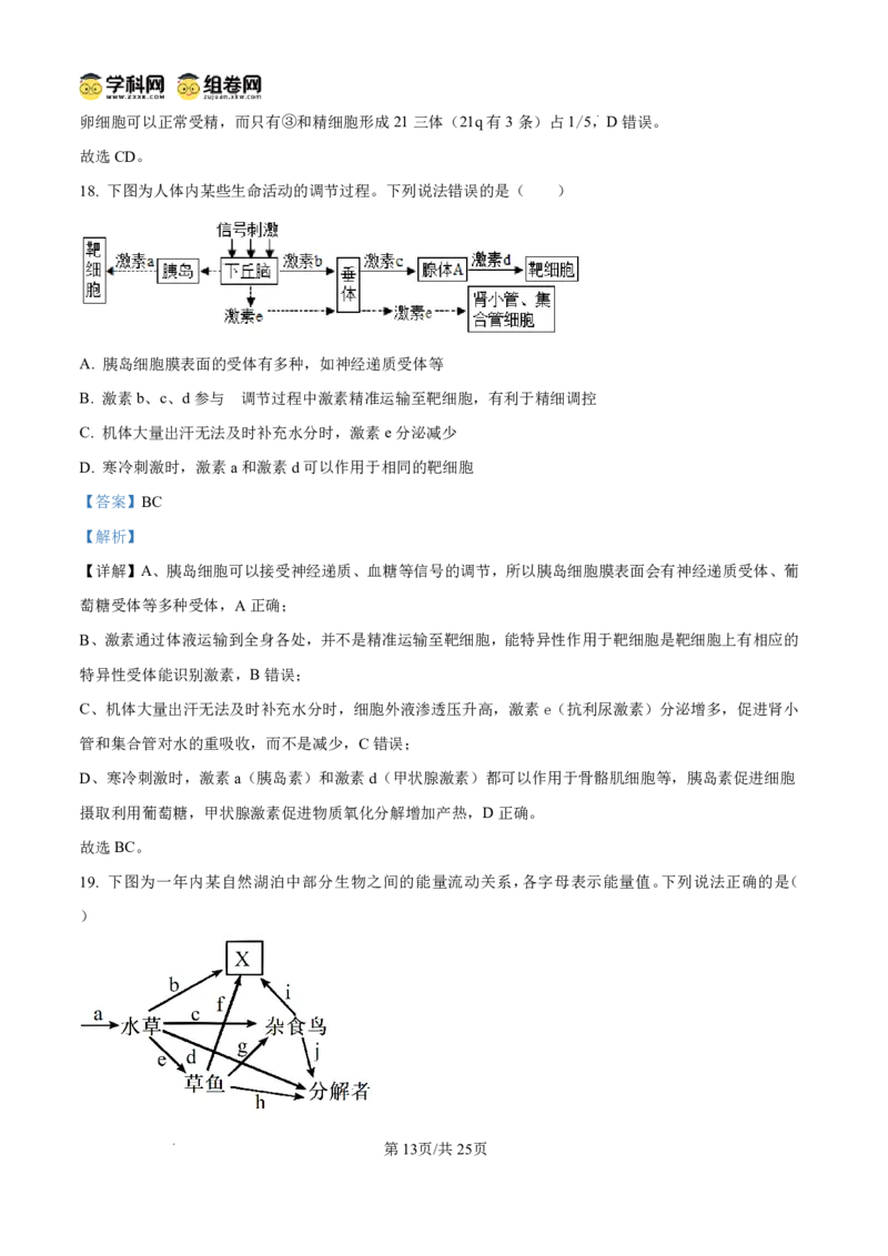 山东省东营市2026届高三年级第一次诊断性测试生物答案_2024-2026高三（6-6月题库）_2026年03月高三试卷_260310山东省东营市2026届高三年级第一次诊断性测试（东营一模）（全科）