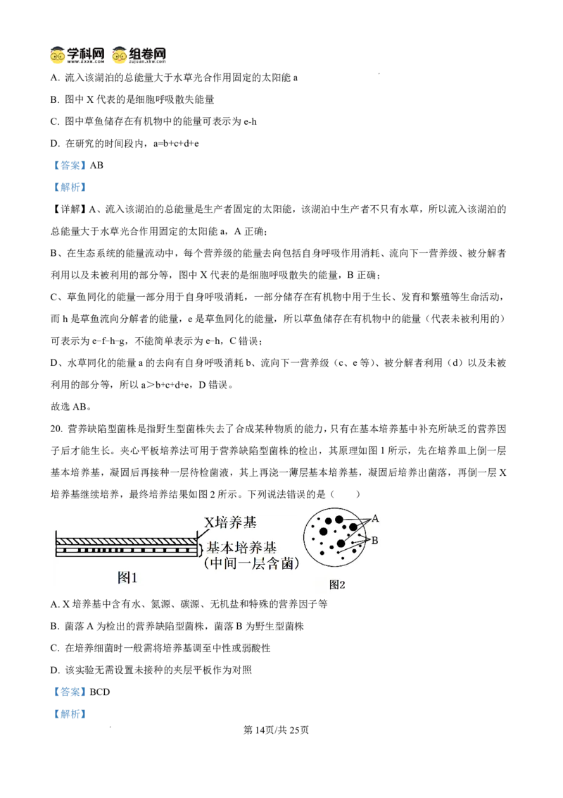 山东省东营市2026届高三年级第一次诊断性测试生物答案_2024-2026高三（6-6月题库）_2026年03月高三试卷_260310山东省东营市2026届高三年级第一次诊断性测试（东营一模）（全科）