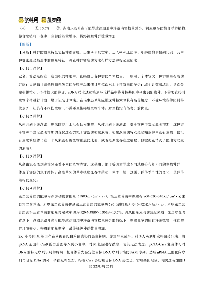 山东省东营市2026届高三年级第一次诊断性测试生物答案_2024-2026高三（6-6月题库）_2026年03月高三试卷_260310山东省东营市2026届高三年级第一次诊断性测试（东营一模）（全科）