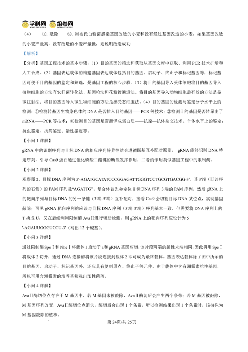 山东省东营市2026届高三年级第一次诊断性测试生物答案_2024-2026高三（6-6月题库）_2026年03月高三试卷_260310山东省东营市2026届高三年级第一次诊断性测试（东营一模）（全科）
