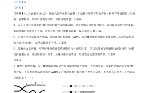 山东省东营市2026届高三年级第一次诊断性测试生物答案_2024-2026高三（6-6月题库）_2026年03月高三试卷_260310山东省东营市2026届高三年级第一次诊断性测试（东营一模）（全科）