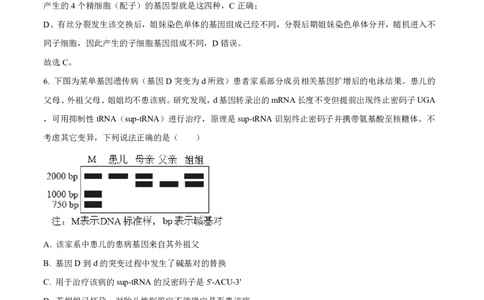 山东省东营市2026届高三年级第一次诊断性测试生物答案_2024-2026高三（6-6月题库）_2026年03月高三试卷_260310山东省东营市2026届高三年级第一次诊断性测试（东营一模）（全科）