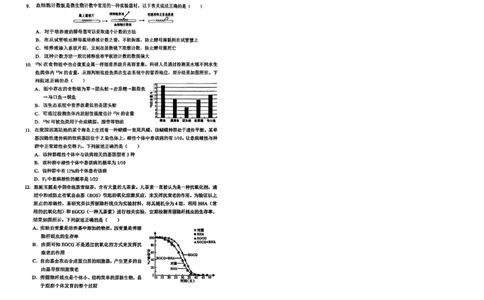 新八校2025-2026学年高三下学期开学考试生物_2024-2026高三（6-6月题库）_2026年03月高三试卷_260301湖北省新八校2025-2026学年高三下学期开学考试（全科）