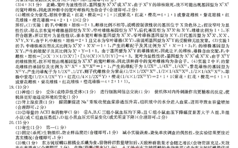 生物答案_2024-2026高三（6-6月题库）_2026年04月高三试卷_260422九师联盟2026届高三年级下学期4月测试（全科）_九师联盟2026届高三年级下学期4月测试生物试卷（含答案）