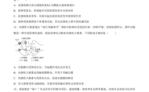浙江省湖州、衢州、丽水三地市2026届高三下学期4月二模生物试题（含答案）_2024-2026高三（6-6月题库）_2026年04月高三试卷