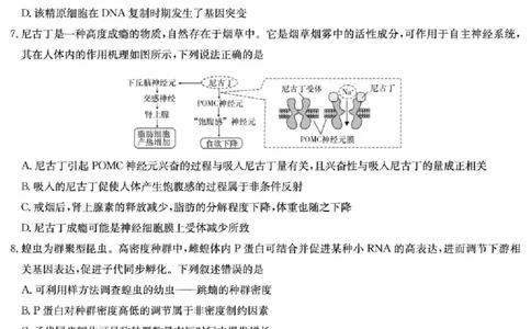 湖南师大附中2026届高三月考试卷（七）生物_2024-2026高三（6-6月题库）_2026年03月高三试卷_260301湖南师大附中2026届高三2月月考试卷（七）_湖南师大附中2026届高三2月月考试卷（七）生物