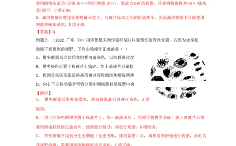 易错点02显微镜使用的原理和方法-备战2023年高考生物考试易错题（全国通用）（解析版）_通用版（老高考）复习资料_2023年复习资料_专项复习_备战2023年高考生物考试易错题（全国通用）
