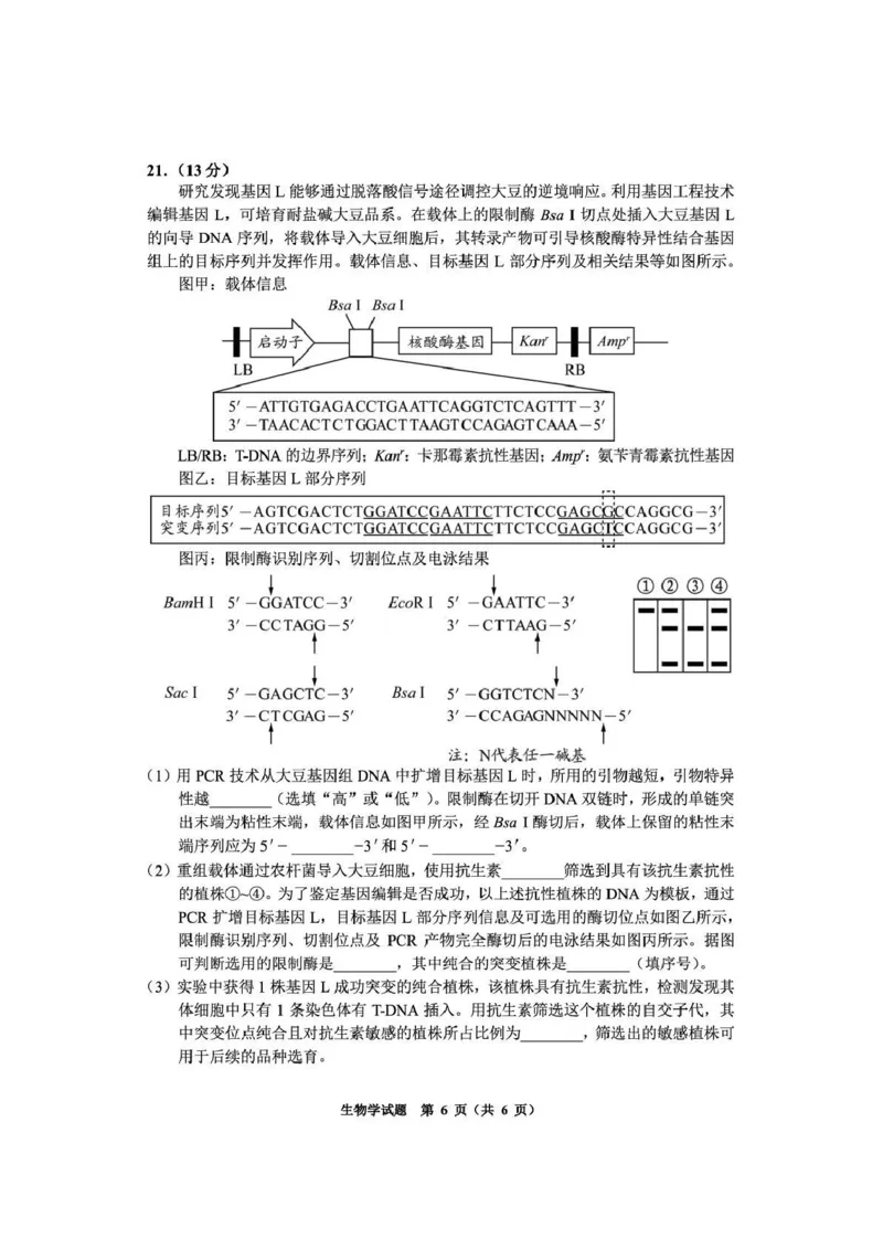 毕节市2026届高三年级高考第二次适应性考试生物_2024-2026高三（6-6月题库）_2026年03月高三试卷_260323贵州省毕节市2026届高三年级高考第二次适应性考试（全科）