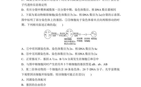 夯基提能练12减数分裂和受精作用-备战2023高考生物一轮复习夯基提能练（全国通用）（解析版）_通用版（老高考）复习资料_2023年复习资料_一轮复习