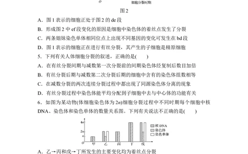 夯基提能练12减数分裂和受精作用-备战2023高考生物一轮复习夯基提能练（全国通用）（解析版）_通用版（老高考）复习资料_2023年复习资料_一轮复习