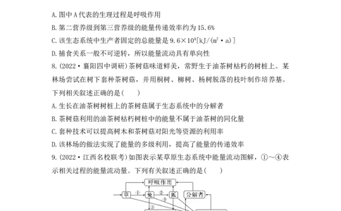 夯基提能练31生态系统的结构与能量流动-备战2023高考生物一轮复习夯基提能练（全国通用）（解析版）_通用版（老高考）复习资料_2023年复习资料_一轮复习