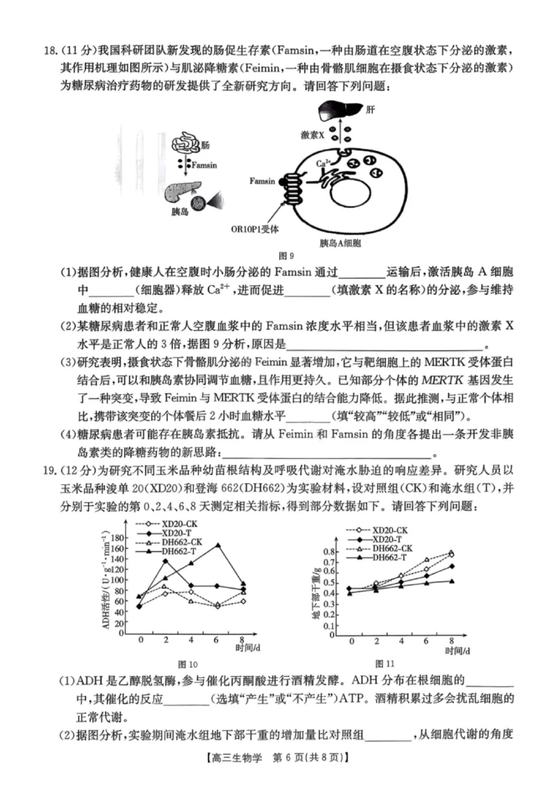 南宁2026年3月高三二模生物试卷_2024-2026高三（6-6月题库）_2026年03月高三试卷_260327广西南宁市2026届普通高中毕业班第二次适应性测试（全科）