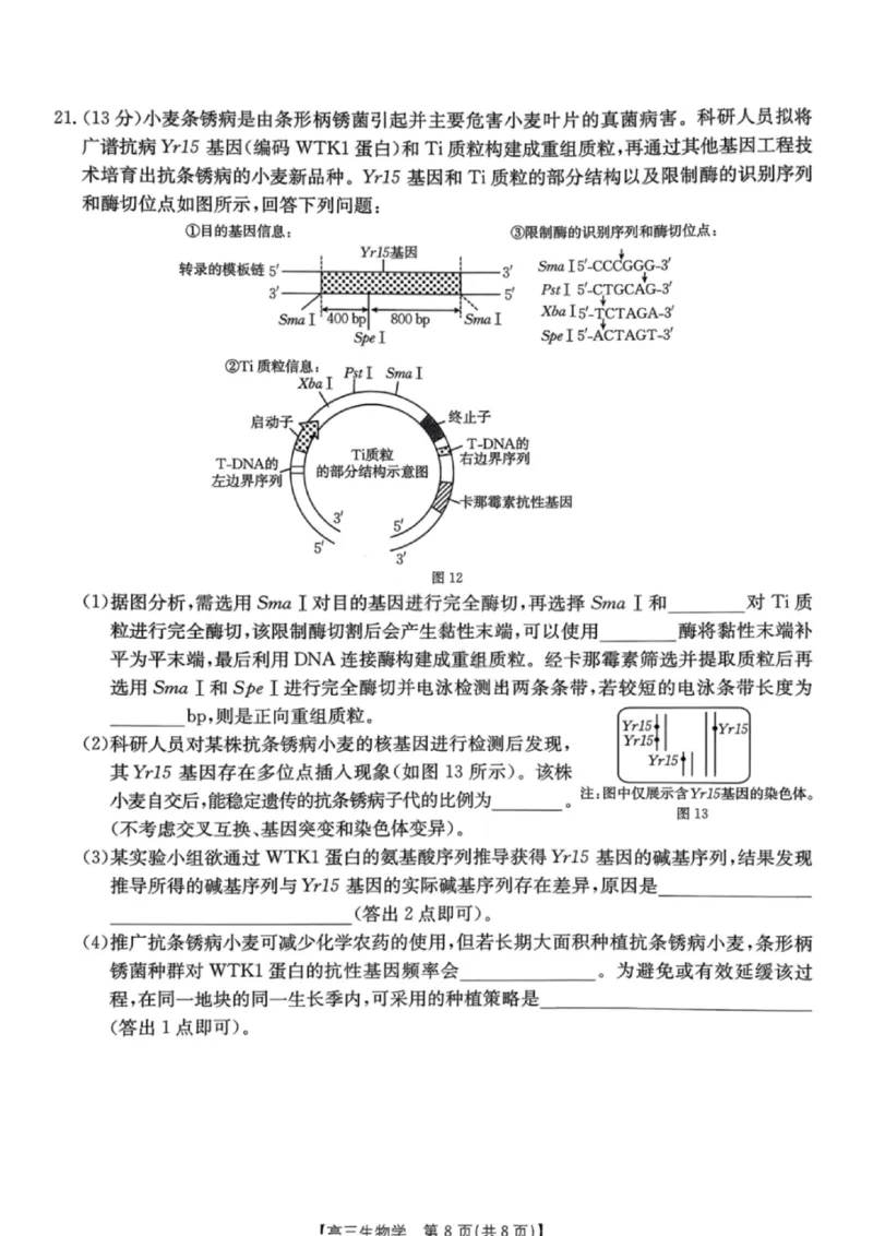 南宁2026年3月高三二模生物试卷_2024-2026高三（6-6月题库）_2026年03月高三试卷_260327广西南宁市2026届普通高中毕业班第二次适应性测试（全科）