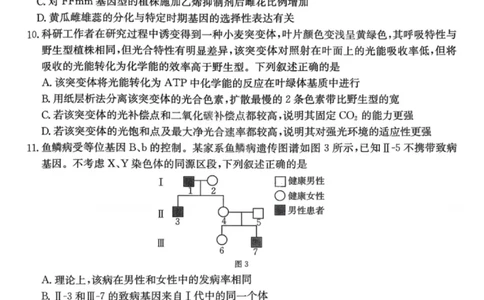 南宁2026年3月高三二模生物试卷_2024-2026高三（6-6月题库）_2026年03月高三试卷_260327广西南宁市2026届普通高中毕业班第二次适应性测试（全科）