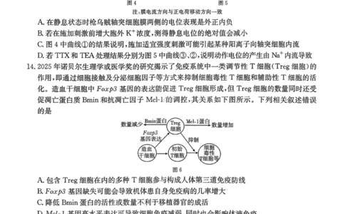 南宁2026年3月高三二模生物试卷_2024-2026高三（6-6月题库）_2026年03月高三试卷_260327广西南宁市2026届普通高中毕业班第二次适应性测试（全科）