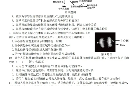 生物卷-2604天域协作体_2024-2026高三（6-6月题库）_2026年04月高三试卷_2604242026年天域全国名校协作体高三4月联考（全科）