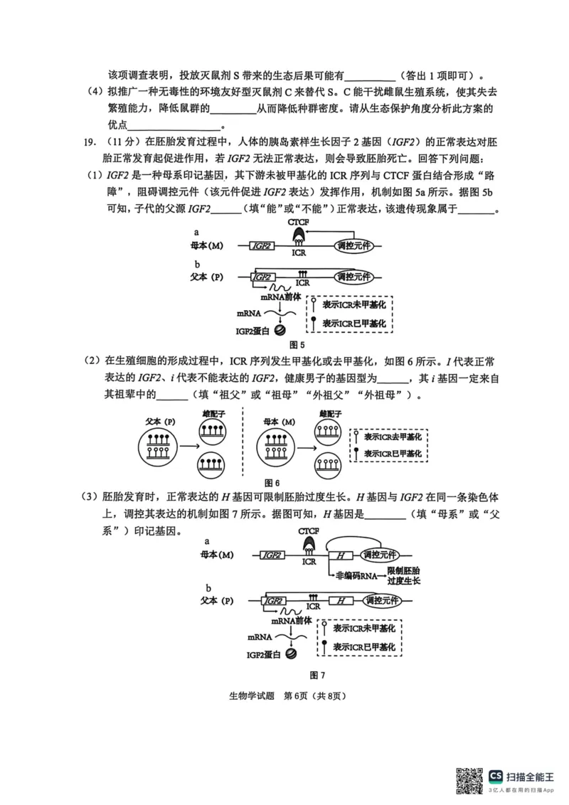 江门市2026年高考模拟考试生物学科试卷(1)_2024-2026高三（6-6月题库）_2026年03月高三试卷_260323广东省江门市2026年高考模拟考试（一模）(全科）_江门市2026年高考模拟考试试题与答案