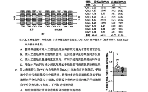 江门市2026年高考模拟考试生物学科试卷(1)_2024-2026高三（6-6月题库）_2026年03月高三试卷_260323广东省江门市2026年高考模拟考试（一模）(全科）_江门市2026年高考模拟考试试题与答案