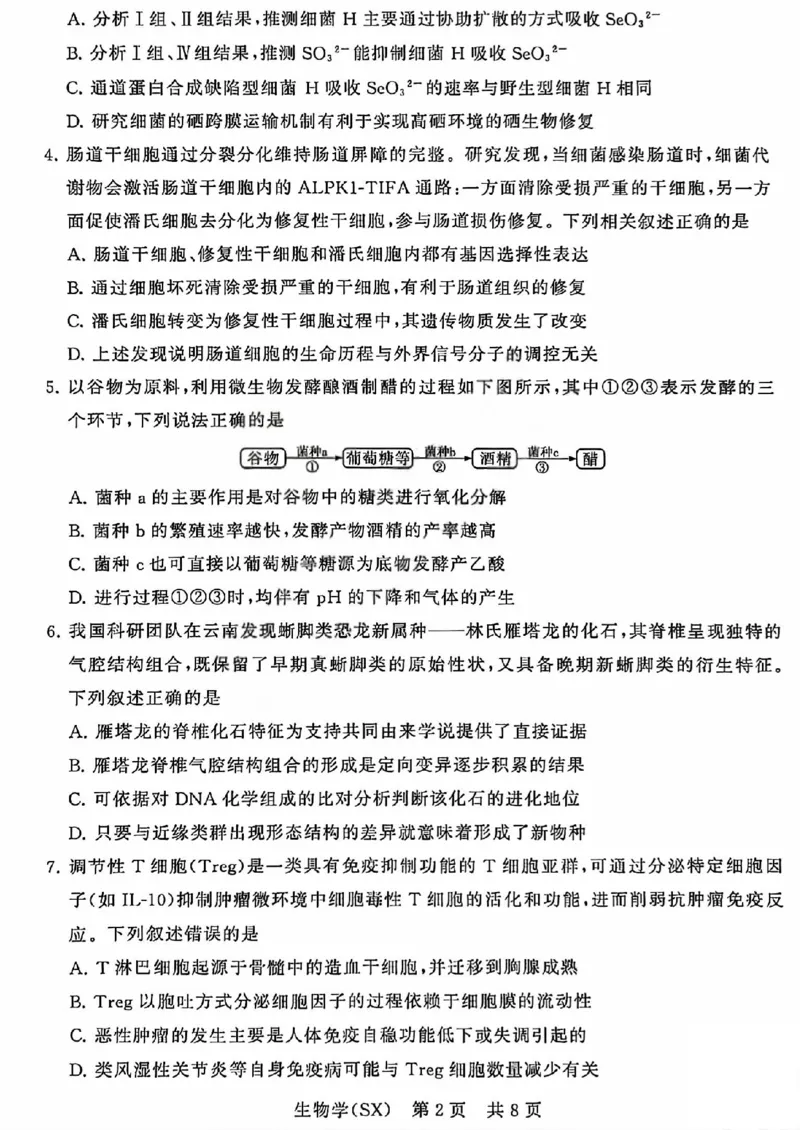 八省T8联考2026届高三年级四月阶段练习生物_2024-2026高三（6-6月题库）_2026年04月高三试卷_2604112026届八省八校T8联考高三下学期4月联合测评（全科）