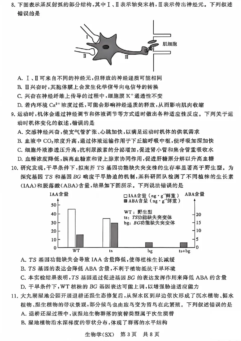 八省T8联考2026届高三年级四月阶段练习生物_2024-2026高三（6-6月题库）_2026年04月高三试卷_2604112026届八省八校T8联考高三下学期4月联合测评（全科）