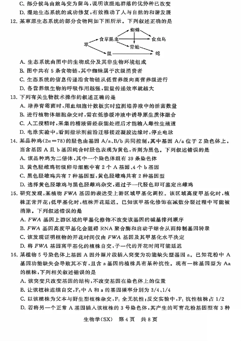 八省T8联考2026届高三年级四月阶段练习生物_2024-2026高三（6-6月题库）_2026年04月高三试卷_2604112026届八省八校T8联考高三下学期4月联合测评（全科）