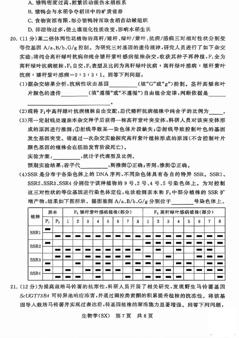 八省T8联考2026届高三年级四月阶段练习生物_2024-2026高三（6-6月题库）_2026年04月高三试卷_2604112026届八省八校T8联考高三下学期4月联合测评（全科）