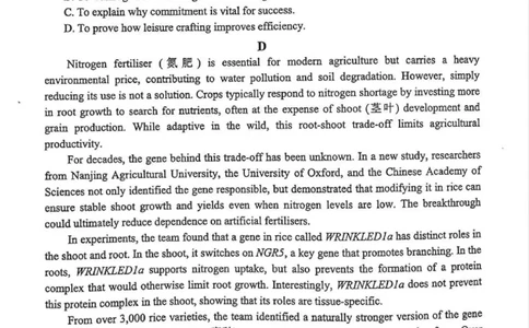 英语试题_2024-2026高三（6-6月题库）_2026年04月高三试卷_260425广东省深圳市2026届高三下学期第二次调研考试（全科）（深圳二模）