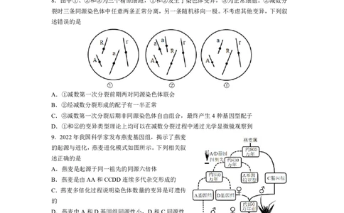 玉溪一中2025一2026学年下学期高三适应性测试（一）生物_2024-2026高三（6-6月题库）_2026年04月高三试卷_260410云南省玉溪市第一中学2025&mdash;2026学年下学期高三适应性测试（一）(全科）