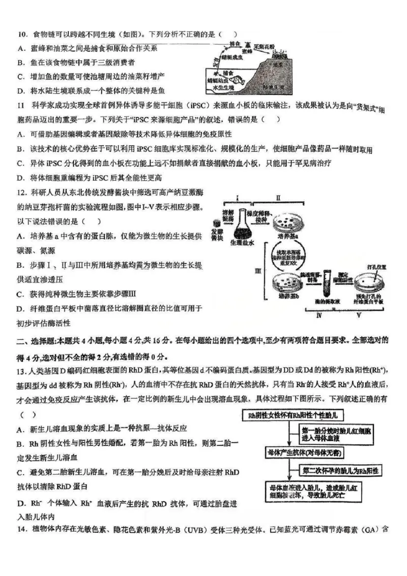 江西省五市十校协作体2025-2026年高三下第二次联考生物试卷（含答案）_2024-2026高三（6-6月题库）_2026年03月高三试卷_260329江西省五市十校协作体2026届高三3月第二次联考（全科）