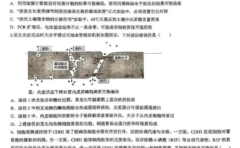 江西省五市十校协作体2025-2026年高三下第二次联考生物试卷（含答案）_2024-2026高三（6-6月题库）_2026年03月高三试卷_260329江西省五市十校协作体2026届高三3月第二次联考（全科）