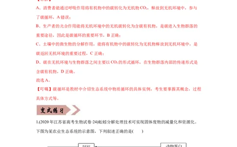 易错点16生态系统的结构和功能-2021年高考生物一轮复习易错题（教师版含解析）_新高考复习资料_2023年新高考复习资料_一轮复习_2023年新高考大一轮复习讲义