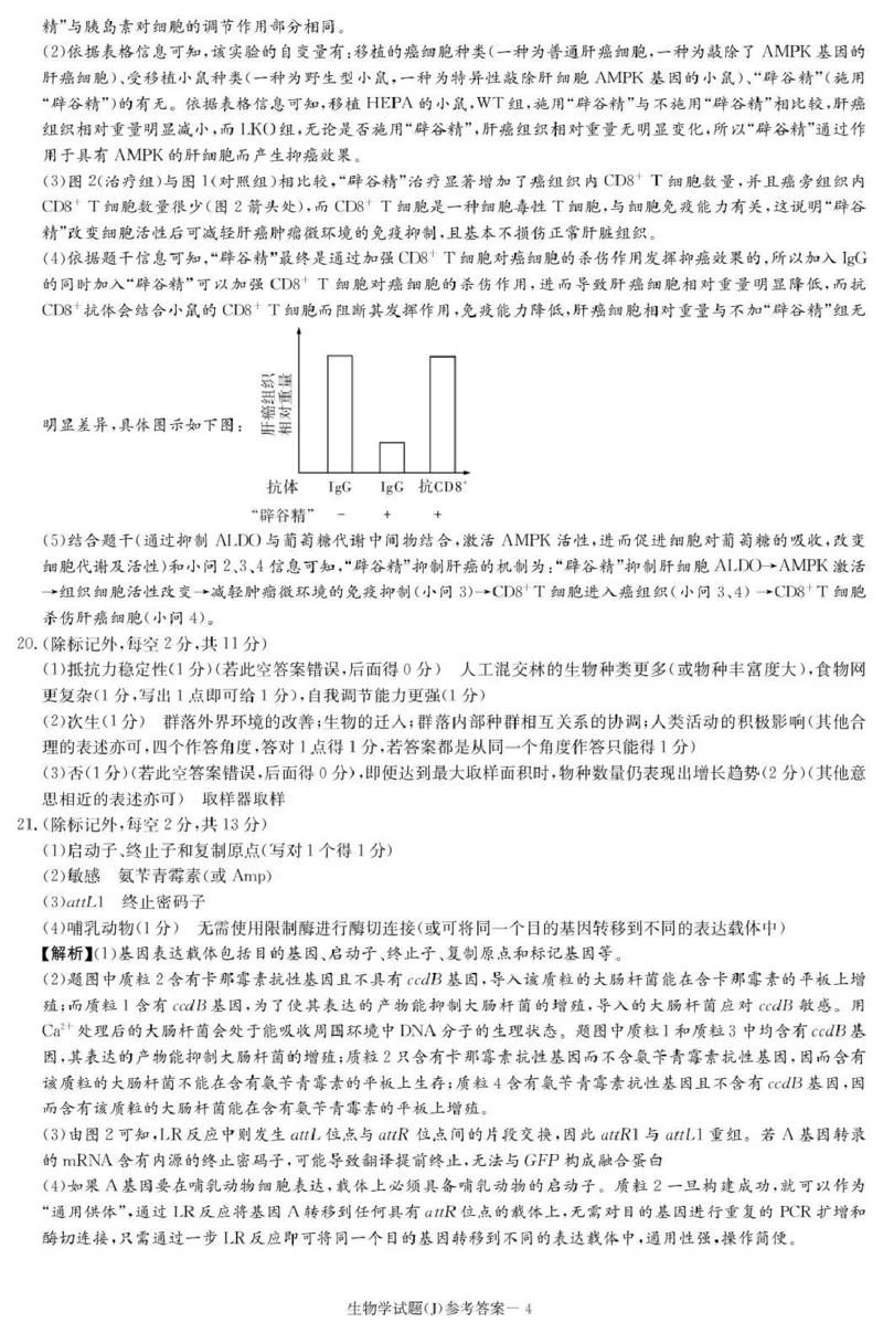 湖南省九校联盟2026届高三第二次联考（暨怀化市一模）生物答案_2024-2026高三（6-6月题库）_2026年03月高三试卷_260314湖南省九校联盟2026届高三第二次联考（暨怀化市一模）（全科）