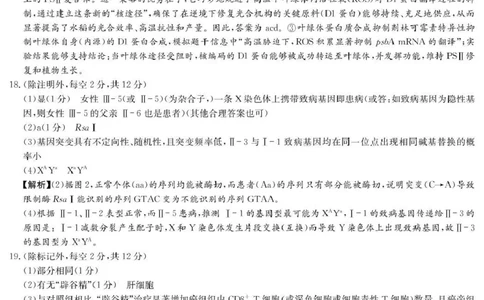 湖南省九校联盟2026届高三第二次联考（暨怀化市一模）生物答案_2024-2026高三（6-6月题库）_2026年03月高三试卷_260314湖南省九校联盟2026届高三第二次联考（暨怀化市一模）（全科）