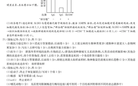 湖南省九校联盟2026届高三第二次联考（暨怀化市一模）生物答案_2024-2026高三（6-6月题库）_2026年03月高三试卷_260314湖南省九校联盟2026届高三第二次联考（暨怀化市一模）（全科）