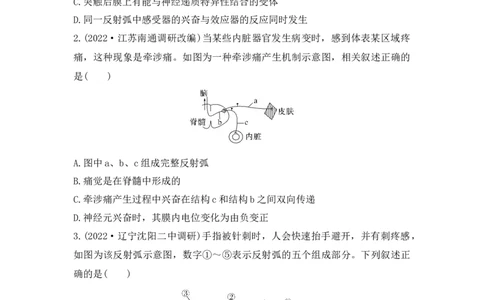 夯基提能练25通过神经系统的调节-备战2023高考生物一轮复习夯基提能练（全国通用）（解析版）_通用版（老高考）复习资料_2023年复习资料_一轮复习