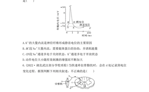 夯基提能练25通过神经系统的调节-备战2023高考生物一轮复习夯基提能练（全国通用）（解析版）_通用版（老高考）复习资料_2023年复习资料_一轮复习